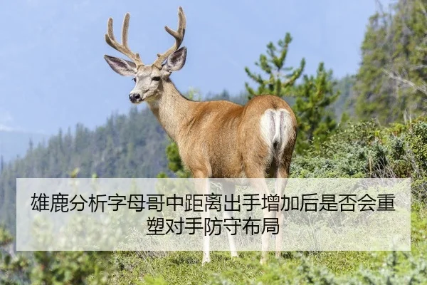 雄鹿分析字母哥中距离出手增加后是否会重塑对手防守布局